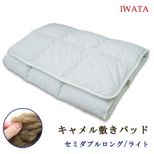 �C���^ �L�������~���z�c �Z�~�_�u�������O 120×210cm (���C�g�^�C�v 2.6kg ) ���{�� ��c IWATA �L�������~���p�b�g �L������ �~�z�c �~���ӂƂ� �L�������~���p�b�h �z�� ���� DE-CP151