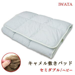 �C���^ �L�������~���z�c �Z�~�_�u�� 120×200cm (�w�r�[�^�C�v 5.0kg ) ���{�� ��c IWATA �L�������~���p�b�g �L������ �~�z�c �~���ӂƂ� �L�������~���p�b�h �z�� ���� DE-CP104