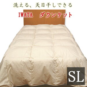 C^ 􂦂 _EPbg VOO 150×210cm zCg_bN_E80 c IWATA Q |zc zc |zc Hъ|zc Hѕzc Hє| DE-KS26-300