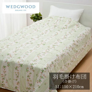  EFbWEbh Hъ|ӂƂ | VOO 150×210cm 0.7kg |zc Hѕzc HтӂƂ H |zc Hъ|zc | zc |ӂƂ nishikawa WEDGWOOD C
