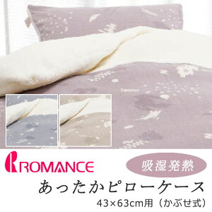 }X  Jo[ s[P[X 43×63cm p zM V[v{A {A }CNt[X ӂ ӂӂ ~p N 炩 G  g   