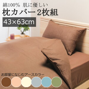 Jo[ 43×63cm 2g 100 ɗD q zcJo[ 2Zbg  Rbg VR@ ɗD q Jo[O n Vv k a m 炩 z z lC  y