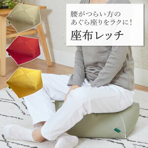 座布レッチ 座布団 あぐらを楽にする クッション ビーズクッション 大きい おしゃれ かわいい 日本製 座椅子 和風 洋風 和モダン 一人暮らし 軽量 軽い 洗える マイクロビーズ ごろ寝 クッシ