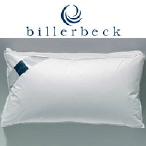 rxbN _EibNXPAs[ 80×40cmyz_E ebNX  billerbeck ܂  s[