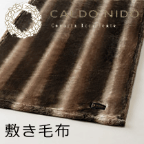 毛布の職人が開発 こだわりの超柔 引出物 吸湿 SALE 71%OFF 発熱 保温素材の日本製毛布です CALDO ノッテ2 NIDO シングル100×205cm 敷き毛布 カルドニード
