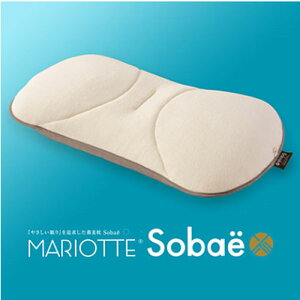 fB[uX@MARIOTTE@sobae (}Ibg \oG)Ίk@70×40cm@܂ s[ m
