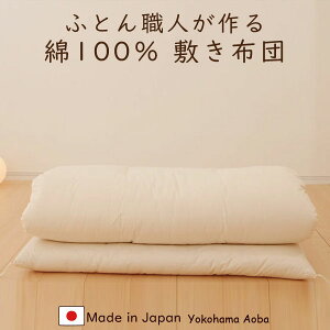 ӂƂEl100 ~zc 100×210cm VOTCY dʖ6.5Kg 킽 100  { 󒍐Yi ӂƂZ\m azc
