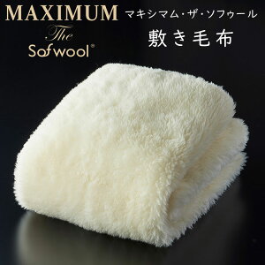 fB[uX MAXIMUM Sofwooli}LV} \t[j~ѕz m \tD[ \tE[