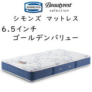 Ki̔X VY }bgX 6.5GV r[eBXg ZNV 6.5C`S[fo[ 24.5cm AB2111A |PbgRC }bgX