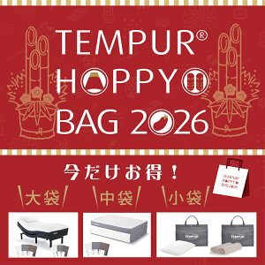 �� ���� �e���s���[�� �����Z�b�g2026 ���� ���� �Z�b�g Tempur �܂��� ���{���K�i