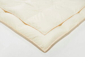 y󒍐YzGNZHтӂƂIII Sealy^V[[