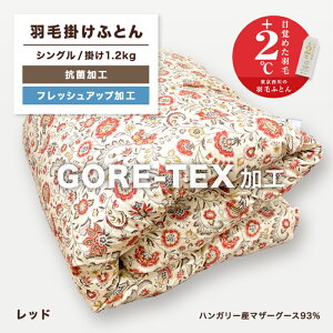 VOzc GORETEX SAebNX  Hѕzc  zc VO }U[O[X HтӂƂ Hzc ӂƂ Hъ|zc Hъ|zc |zc |zc H  nK[Y _
