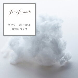  t@CX[Y ܂ t[k(R)킽 [ppbN 100g [p [   EFA2281010 FA6010 { EKA2489101 EK9101