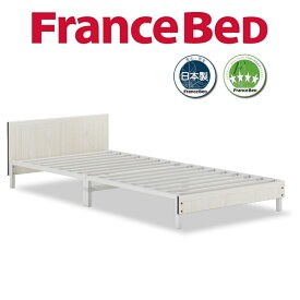 フランスベッド FRANCE BAD コンパクトワン ST-EC スチール シングル シングルベッド シングルフレーム ベッドフレーム コンパクトベッド コンパクト 寝具 ベッド ブラック ホワイト フレームのみ