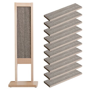 { uؐ ܂ƂX^hv ˂ ܌ lR  VRf ؂̍  _{[ Y  bNX  ΍Ƌ