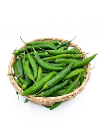 国産唐辛子【冷凍】 冷凍青唐辛子1kg 国産唐辛子 九州産とうがらし 九州産唐辛子 国産一味 国産とうがらし 生唐辛子 生とうがらし【冷凍クール便】