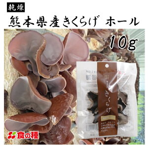 F{Y 炰 z[ 10g  Y炰 _ wV[ _CGbg X[p[t[h e N