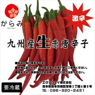 国産唐辛子 8月～11月初旬まで！ 生赤唐辛子1kg 国産唐辛子 九州産とうがらし 九州産唐辛子 国産一味 国…