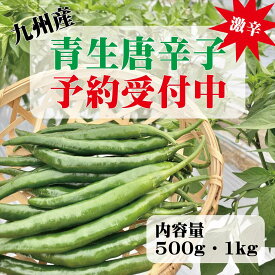 国産唐辛子 【生】青唐辛子500g【生】青唐辛子500g×2袋 （1kg） 冷凍青唐辛子500g×2袋 （1kg) 国産唐辛子 九州産とうがらし 九州産唐辛子 国産一味 国産とうがらし 生唐辛子 生とうがらし 送料無料【クール便】※発送は準備出来次第