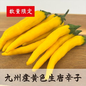 yԌzFhq100g Yhq Yhq BYƂ炵 BYhq Yꖡ YƂ炵 hq Ƃ炵yN[ցz
