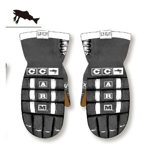 24-25 SALMON ARMS TEAM MITT BISHOP サーモンアームズ チームミット スキー スノーボード 雪遊び グローブ