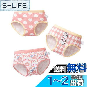 yz[HOLRAFAN] q pc ̎q 3Zbg  LbY K[Y Zp WjAV[c  킢 _炩 ʋC  qD Sn FF1/sN-AATCY