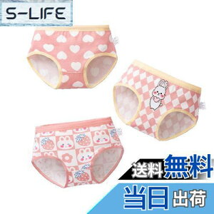 yz[HOLRAFAN] q pc ̎q 3Zbg  LbY K[Y Zp WjAV[c  킢 _炩 ʋC  qD Sn FF1/sN-AATCY