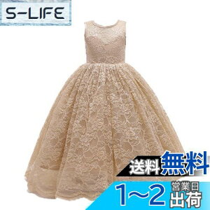 yz[HOLRAFAN] q LbY hX [X  hX qǂ Pl  XpR[ ꂢ ̎q lC Ȗ  ? t \ 110-170cm sAm tH[} FF1-V