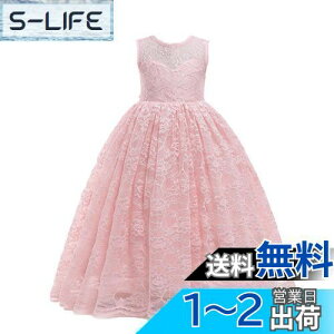 yz[HOLRAFAN] q LbY hX [X  hX qǂ Pl  XpR[ ꂢ ̎q lC Ȗ  ? t \ 110-170cm sAm tH[} FF1-sN