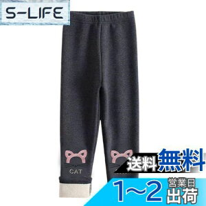 yz[HOLRAFAN] MX q 10 N ̎q Y{ pc LbY    L ʉ Lk ʊw   ےgh Xpbc Xgb` H~ F 100-150CM FF2