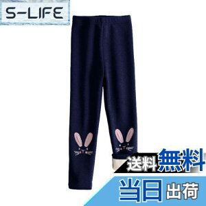 yz[HOLRAFAN] MX q 10 N ̎q Y{ pc LbY    L ʉ Lk ʊw   ےgh Xpbc Xgb` H~ F 100-150CM FF1