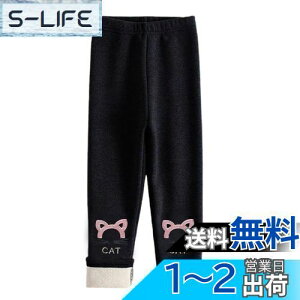 yz[HOLRAFAN] MX q 10 N ̎q Y{ pc LbY    L ʉ Lk ʊw   ےgh Xpbc Xgb` H~ F 100-150CM FF2