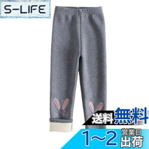 yz[HOLRAFAN] MX q 10 N ̎q Y{ pc LbY    L ʉ Lk ʊw   ےgh Xpbc Xgb` H~ F 100-150CM FF1
