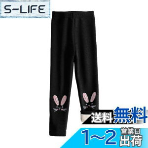 yz[HOLRAFAN] MX q 10 N ̎q Y{ pc LbY    L ʉ Lk ʊw   ےgh Xpbc Xgb` H~ F 100-150CM FF1