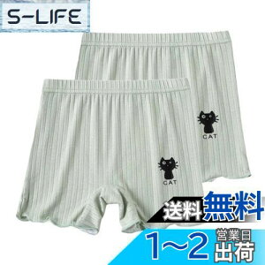 yz[VIISEN] ̎q K[Y n 2Zbg 3 Y{ L LbY Ci[pc 100-160 A_[pc  I[o[pc  V[gpc Zpc FF1-O[A