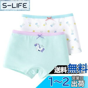 yz[OWIEOW] qp ̎q pc  V[c 2Zbg {NT[pc  ʋC _炩 u   LbY WjA V[c Zp q ct w ۈ牀 110 120 1