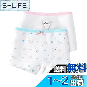 yz[OWIEOW] qp ̎q pc  V[c 2Zbg {NT[pc  ʋC _炩 u   LbY WjA V[c Zp q ct w ۈ牀 110 120 1