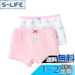 yz[OWIEOW] qp ̎q pc  V[c 2Zbg {NT[pc  ʋC _炩 u   LbY WjA V[c Zp q ct w ۈ牀 110 120 1