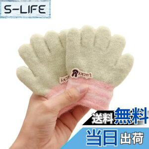 yz[fyetemon] H~p qp 3~6 j̎q ̎q  ۉ  ܖ{w c ~p xr[ FFO[