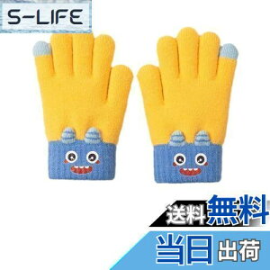 yz[fyetemon] qp ~p h ܎w  e jbg JWA J[gD[fUC _炩 K ۉ H~ FFCG[