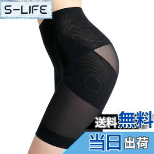 yz[fyetemon] ՃK[h ␳ fB[X nCEGXg qbvAbv V[c K  Ci[ Ȃ ʋC FFubNATCYFL