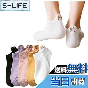 yz[FASELE] C fB[X  \bNX qp wlp\bNX N[\bNX Ԃ  X|[c  Rbg  ʋC _炩 t H~ I[V[Y Mt