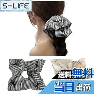 yzFASELE VV wAS S {[ DI [X wAANZT[ 傫  l  fB[X GKg  ɗD Mtg v[g(2Zb