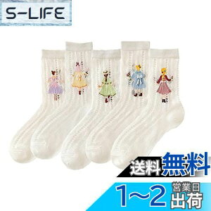 yz[FASELE] C \bNXfB[X ėp\bNX 5Zbg 킢 [X ԕ  Pl  p     tėp hL Ȃ 22-25cm FF5
