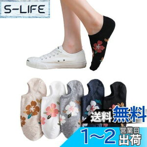yz[FASELE] C \bNXfB[X Xj[J[\bNX Ԃ ̎q X|[c\bNX  L Ί ԕ J[g  JK ʋ ʊw tďH~p 5Zbg 22-25cm FFԕ5