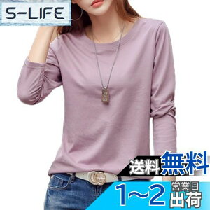yz[Zleufirty] tVc fB[X 100 ŒSn n tVc eB[ N[lbN KxȌ Jbg\[  fB[X tďH M`2XL FFp[vATCYFXL