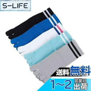 yz[ZGKULAEAOW] q C qpܖ{w\bNX LbY V[g\bNX  j̎q ̎q X|[c\bNX WjA 5{w {[_[  3/5g FFO[3ATCYF16