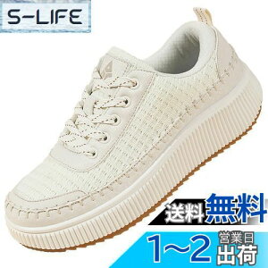 yzzcoliXj[J[ fB[X  ^C vbgtH[ CY U[ X|[c [Jbg y ₷ r r  ʊw ʋ FFx[WATCYF24.0 cm