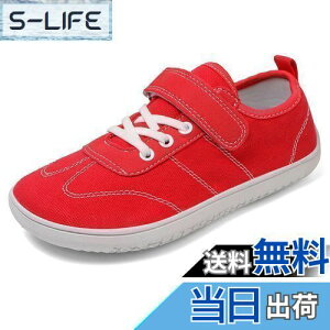 yzzcoliL qC LoX Xj[J[ ̎q j̎q ^C }WbNe[v y ~ ʊw _炩 FFbhATCYF20.0 cm E