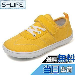 yzzcoliL qC LoX Xj[J[ ̎q j̎q ^C }WbNe[v y ~ ʊw _炩 FFCG[ATCYF18.0 cm E